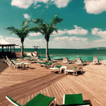 Deck Wild Bamboo