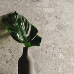 Frammenta Bianco