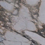 Calacatta Sienna