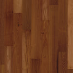 Robinia Steamed