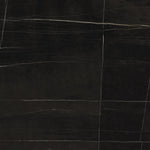 Sahara Noir